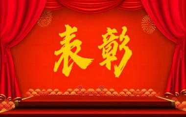 “兩優(yōu)一先”風(fēng)采|遠(yuǎn)東電纜（宜賓）載譽(yù)歸來(lái)